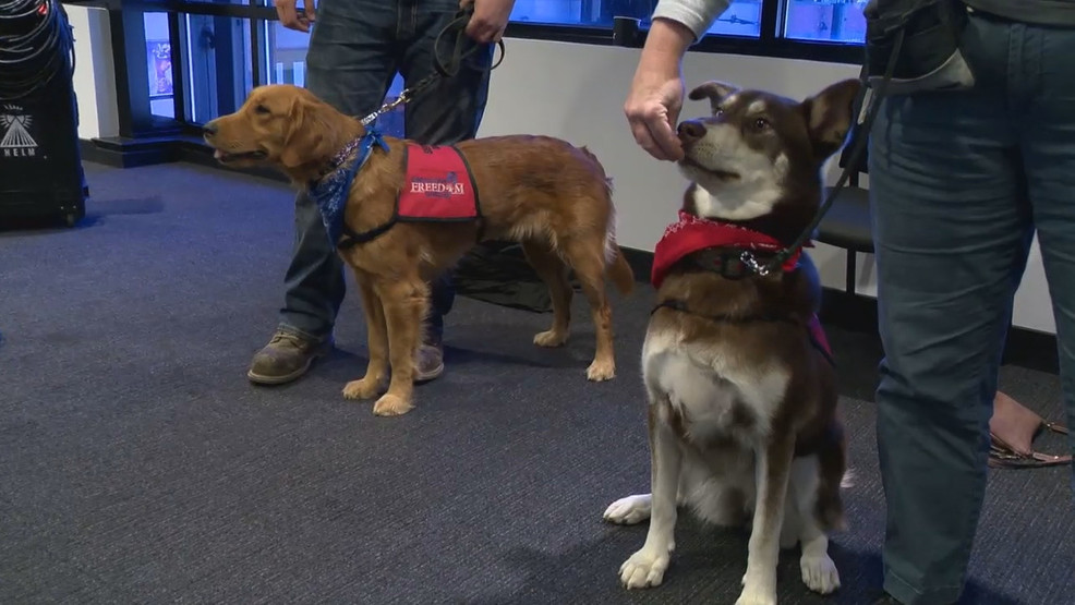 Warrior Freedom Service Dogs host first public event