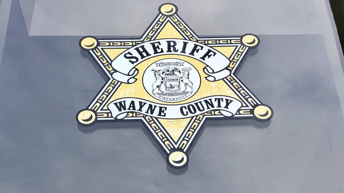 Two children were rescued from frigid waters of a Wayne County pond after falling through the ice