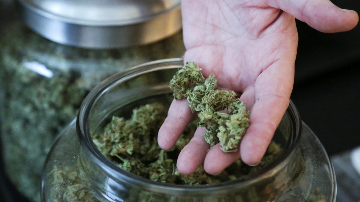 A medical marijuana bill making its way through the Tennessee General Assembly will go before the senate health and welfare committee on Wednesday