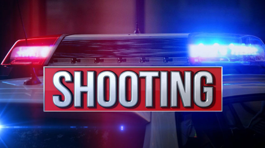 Authorities are investigating a shooting in the Bonny Oaks Dr.
