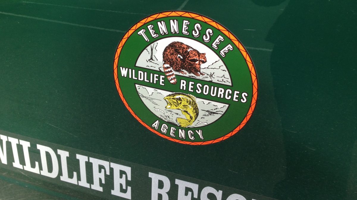 Tennessee wildlife officers are warning people not to dump unwanted pets into the wild after a small alligator was removed from a pond outside of Chattanooga