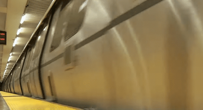Woman gets dragged to death by a train after her leashed dog gets stuck inside