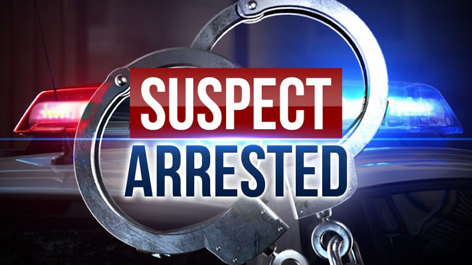 Suspect arrested in stolen vehicle in Wilson County