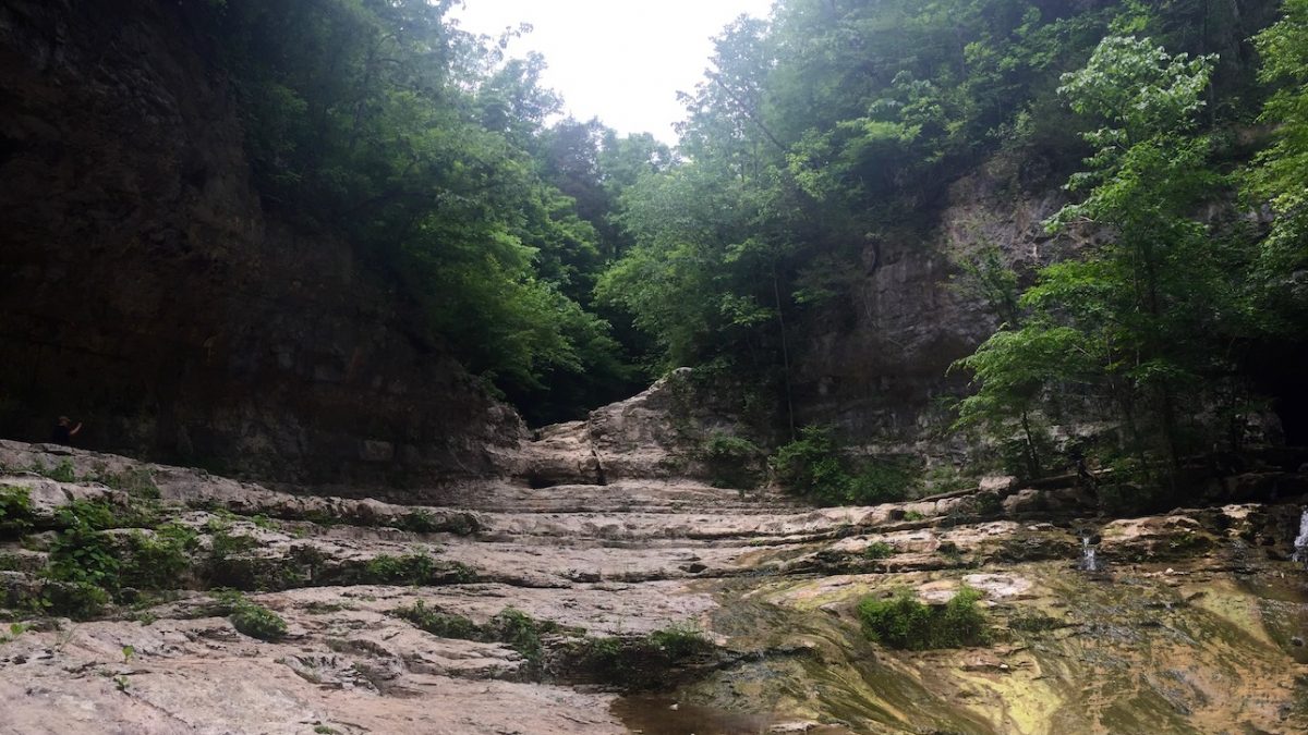 More than 1,000 acres have been added to Tennessee’s Bear Hollow Mountain Wildlife Management Area