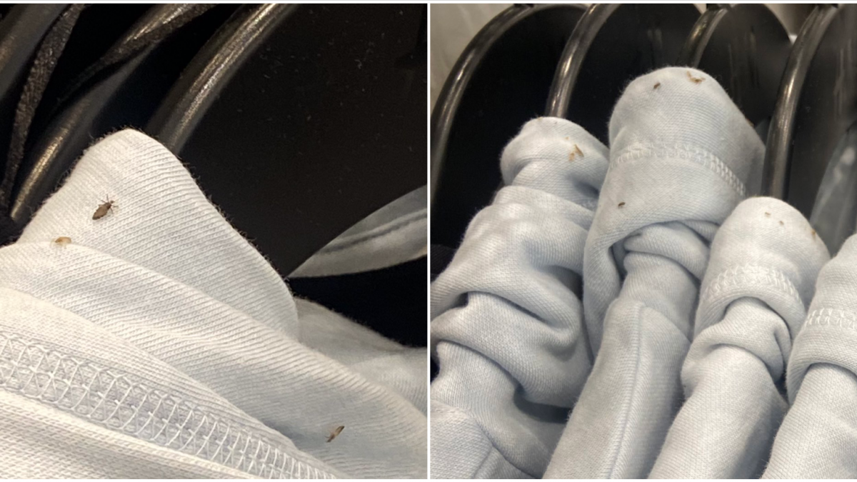 Famous clothing store closes after employee revealed on her social media account that customer found hoodies crawling with bugs and the store wasn’t doing enough about it