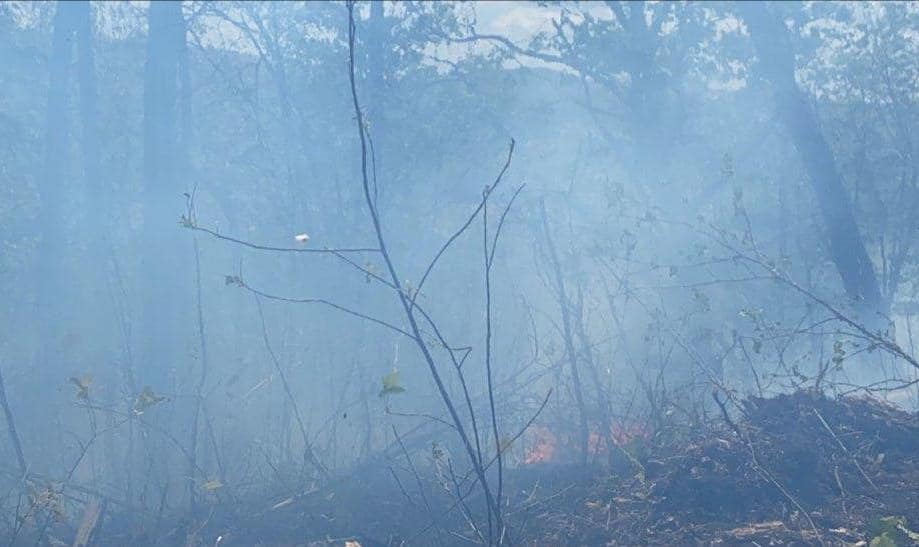 Crews respond to multiple brush fires in Sequatchie County
