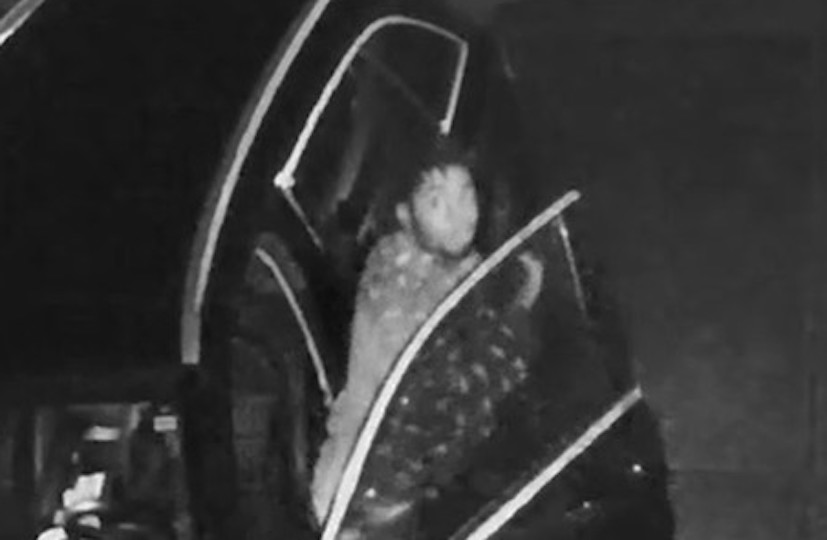 Smyrna Police ask for help identifying suspect seen breaking into vehicles