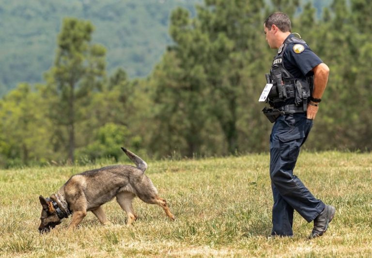 The Chattanooga Police Department's K9 Unit achieved remarkable success at the Region 22 USPCA