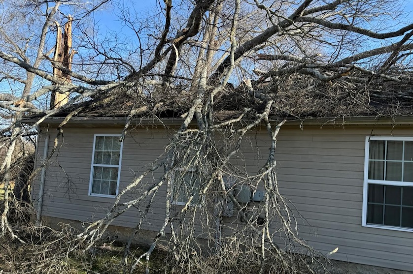 Large tree falls on Chattanooga home, resident safely assisted