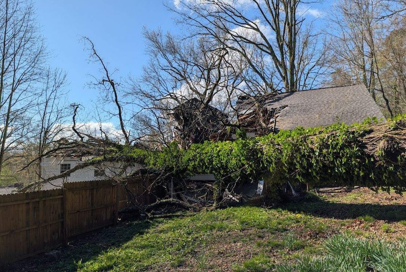 Large tree falls onto home on Mary Walker Place, no injuries reported