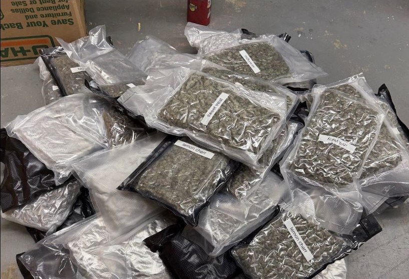 Chattanooga Police Department executes search warrants at nuisance property, two arrested and nearly 100 pounds of marijuana seized