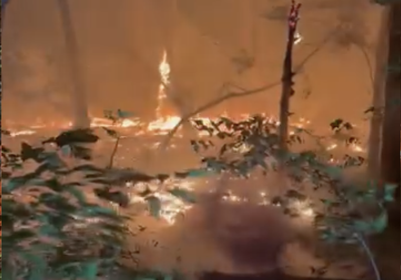 Chattanooga Fire Department responds to overnight woods fire at Stringers Ridge Park, fire contained after extended operation