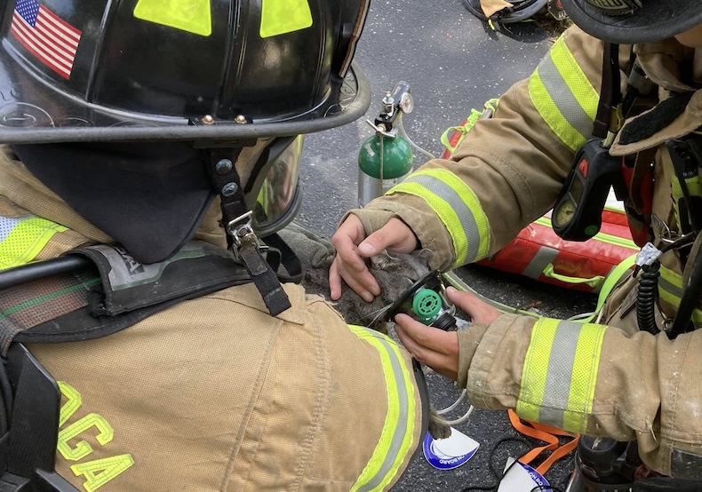 Chattanooga firefighters rescue cat during apartment fire at Views at Signal Mountain complex